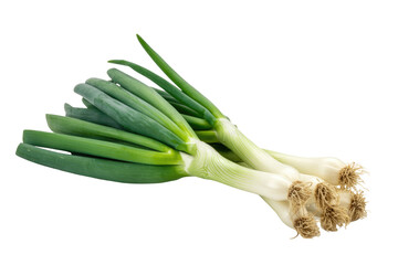 A bunch of fresh green onions with roots, isolated on a transparent background. background removed