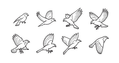 Obraz premium Birds flying line art icon bundle illustration