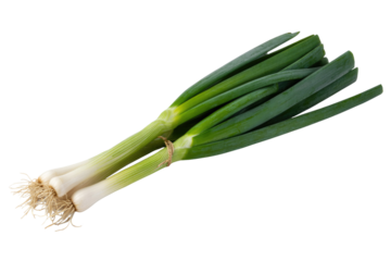 A bunch of fresh green onions with roots, tied together, isolated on a transparent background. background removed
