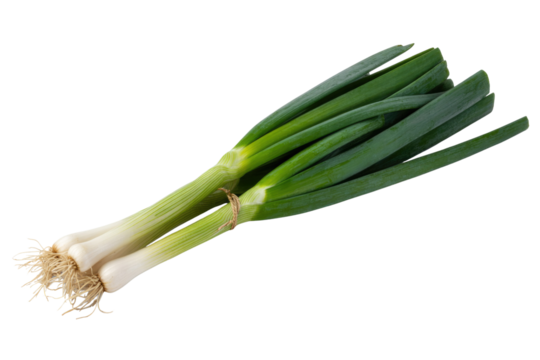 A bunch of fresh green onions with roots, tied together, isolated on a transparent background. background removed