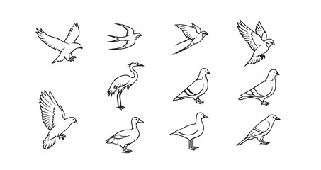 Birds flying line art icon bundle illustration