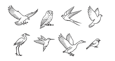Birds flying line art icon bundle illustration