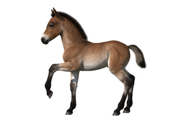 A cute brown foal standing on a transparent background, digitally rendered. background removed