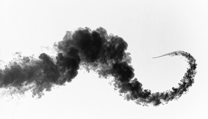 PNG black smoke coiling like a serpent in mid-air, symbolizing mysticism, magic, and fluidity, ideal for fantasy art, spiritual themes