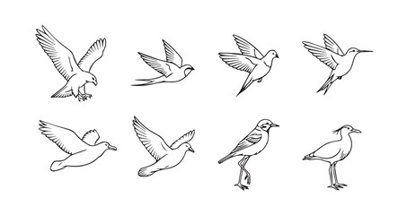 Birds flying line art icon bundle illustration