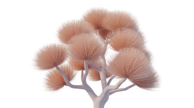 A 3D render of a stylized tree with soft, feathery branches and a light peach color, isolated on a transparent background. background removed