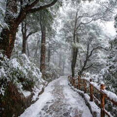 Snow-laden path winds through a misty, snow-covered forest, bordered by a rustic wooden fence.  The scene is serene and peaceful, with soft light filtering through the trees
