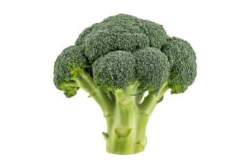 A vibrant green broccoli floret, isolated on a transparent background, showcasing its fresh and healthy appearance. background removed