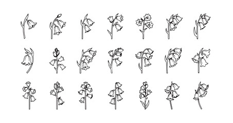 Bluebell line art icon bundle illustration