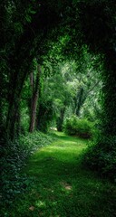 Fototapeta premium A verdant, sun-dappled path winds through a lush, overgrown forest, the light filtering through dense foliage creating a mystical atmosphere