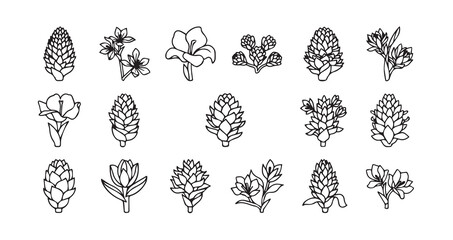 Bougainvillea line art icon bundle illustration
