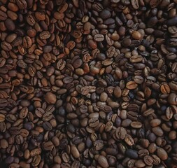 An inviting full-frame view of premium roasted coffee beans, revealing their intricate textures and the rich, dark tones that prelude a perfect aromatic beverage