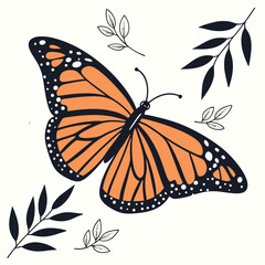 butterfly on a white background