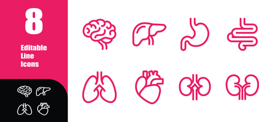 Human Organs Editable Line Icons Set