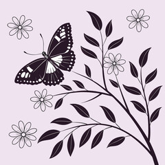 black and white butterfly