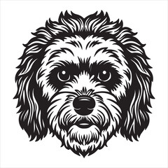 A Cheerful Portrait of a Bichon Frise, a Playful and Adorable Breed with a Fluffy, White, Powder-Puff Coat and Expressive Dark Eyes