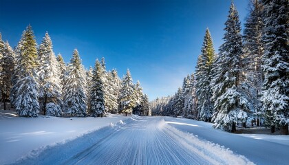 Fototapeta premium a snow covered road winds through a serene pine forest under a clear blue sky the tranquil setting conveys the beauty of winter and peaceful nature snow covered road through a forest in winter