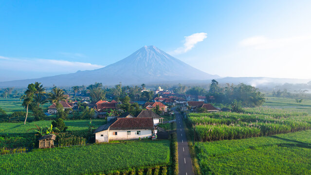 View of Mount Semeru from Teras Semeru shows its majestic peak under a clear blue sky, surrounded by lush fields and forest in a peaceful natural landscape.