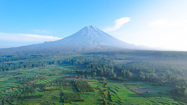 View of Mount Semeru from Teras Semeru shows its majestic peak under a clear blue sky, surrounded by lush fields and forest in a peaceful natural landscape.