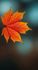 Fototapeta premium Close-up of orange maple leaf, intricate vein detail, set against a blurred background, showcasing autumnal colors and nature's delicate beauty, ideal for fall themes