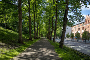 Natural surroundings of Lahti Finland with lush greenery forests and open landscapes in summer season
