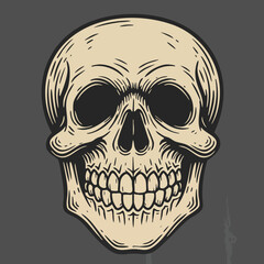 Fototapeta premium Human skull detailed vector illustration with beige and dark gray colors on square background for gothic or Halloween themes 