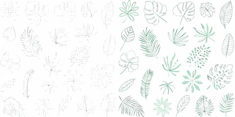Collection of hand drawn tropical leaves and floral elements with delicate watercolor accents © Kopil