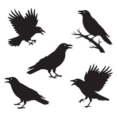 Five black crow silhouettes in various poses on white background raven bird