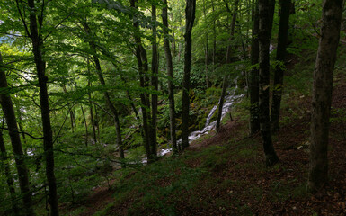 Waterfalls seen from the forest path at the Plitvice Lakes National Park (Plitvička Jezera, Croatia)
