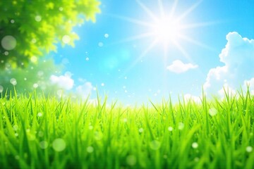 Obraz premium A vibrant summer scene with bright sunlight illuminating lush green grass and a clear blue sky, perfect for a relaxing day , meadow, sky