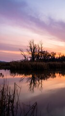 Obraz premium Calm sunset over a tranquil marsh