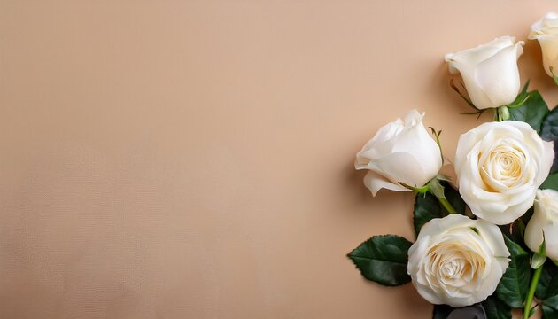 white roses on a beige cream background with space foy copy or design generative ai