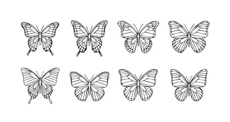 Butterfly line art icon bundle illustration