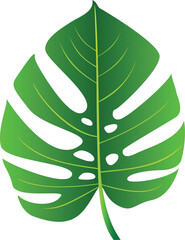Monstera, Urwald, tropisch, Blatt, Natur - Icon, Symbol, Zeichen, Logo