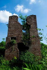 Fototapeta premium Many old, dilapidated buildings are overgrown with wild vines and weeds.