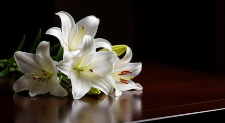 Fototapeta premium White Lilies Resting on a Dark Wooden Surface and a Calm and Respectful Vibe