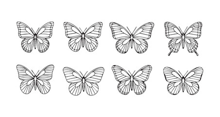 Butterfly line art icon bundle illustration