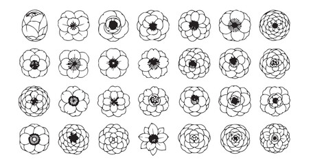Camellia line art icon bundle illustration