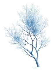 Obraz premium Delicate watercolor tree branch with white hoarfrost texture