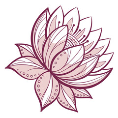 vector pink flower