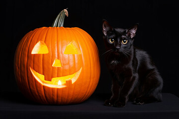 Halloween Still Life Black Cat and Jack-o'-Lantern
