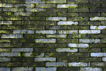 Ancient brick wall with moss