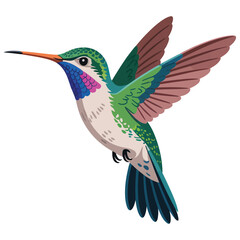 hummingbird in flight