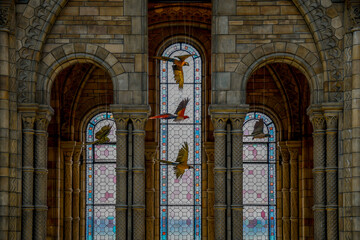 Fototapeta premium Stained Glass Windows and Suspended Birds – Natural History Museum London