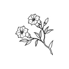 Elegant botanical illustration of blooming flowers and budding stems in line art Silhouette Vector 