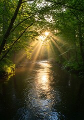 Obraz premium Golden Hour's Embrace