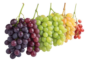 Fototapeta premium Juicy grapes freshly picked, stem attached, photorealistic, white background.