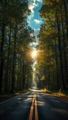 Obraz premium road in the forest