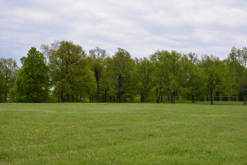 Lush green field with a line of trees under a cloudy sky