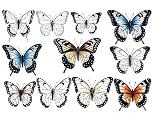 Obraz premium Firefly_peony flowers isolated on white - Firefly_set of beautiful blue green yellowbutterflys isolated on white or transparent png